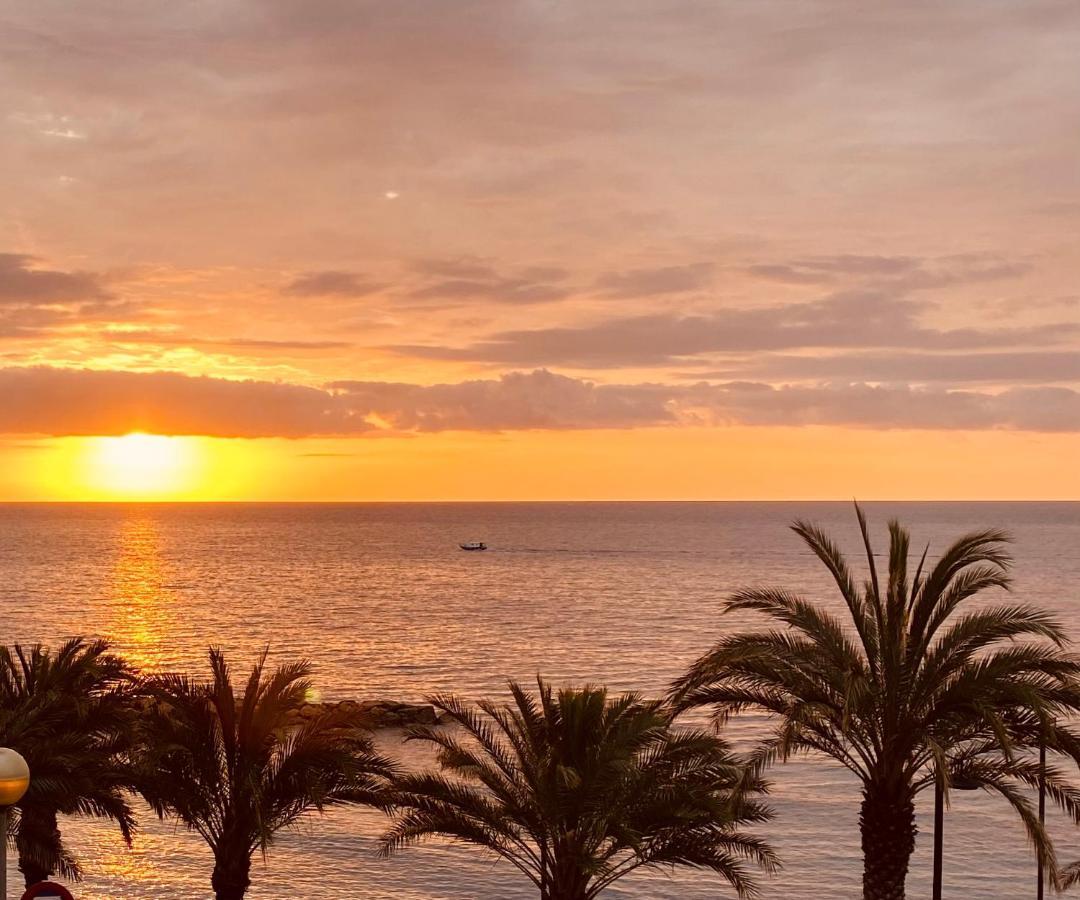 Casa Marta Maria Daire L'Ametlla de Mar Dış mekan fotoğraf